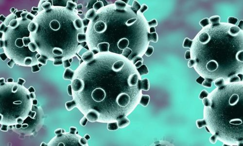 Covid-19 In Home Vaccinations